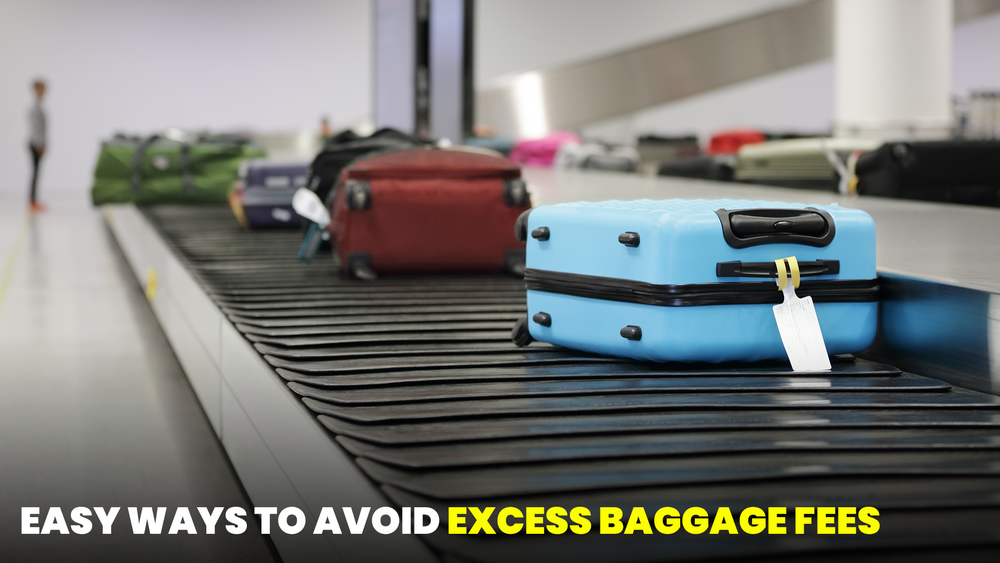 Baggage & other fees